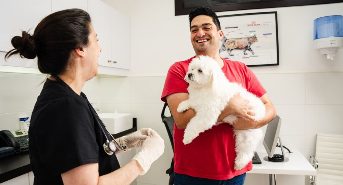 Why Petflix Vet Clinic Is a Trusted Cat Vaccination Clinic in Dubai